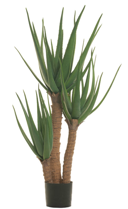 4' Aloe Plant FP1117