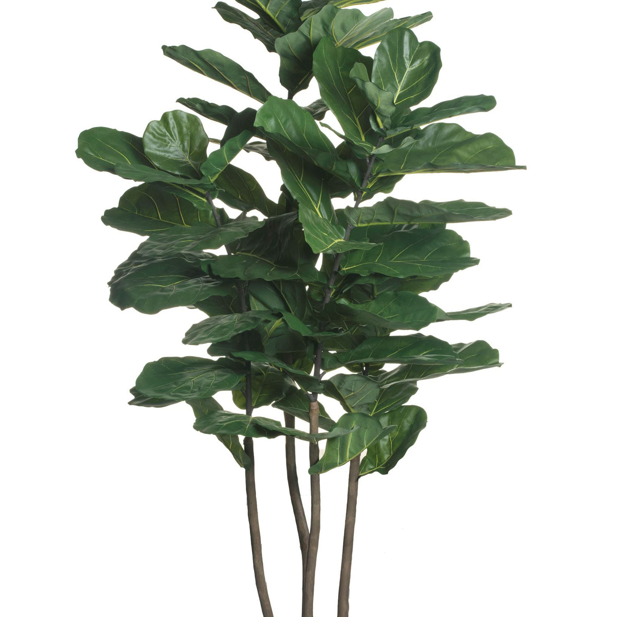 world market fiddle leaf fig tree 7' Fiddle Leaf Fig Tree FP1125