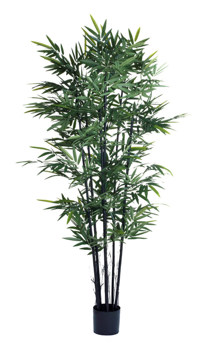 7' Bamboo Tree-Black Stocks   FP1136