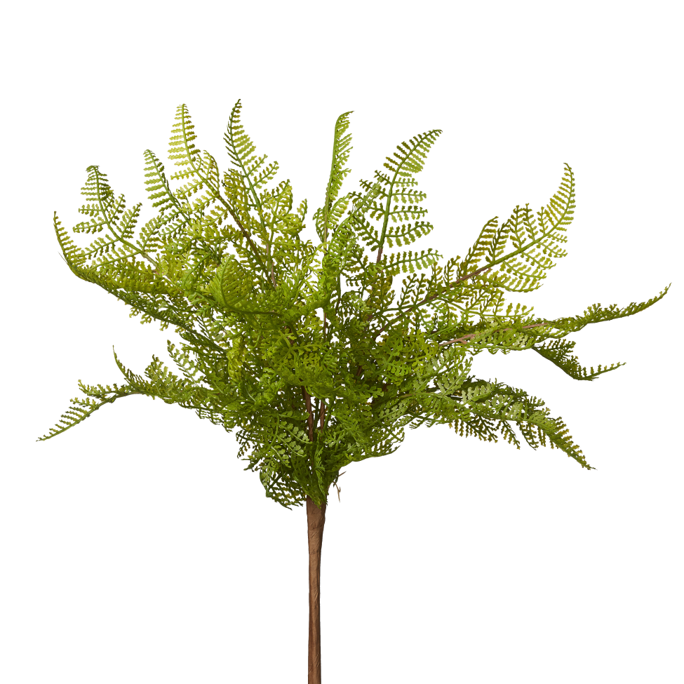 16" Fern Bush FR1004