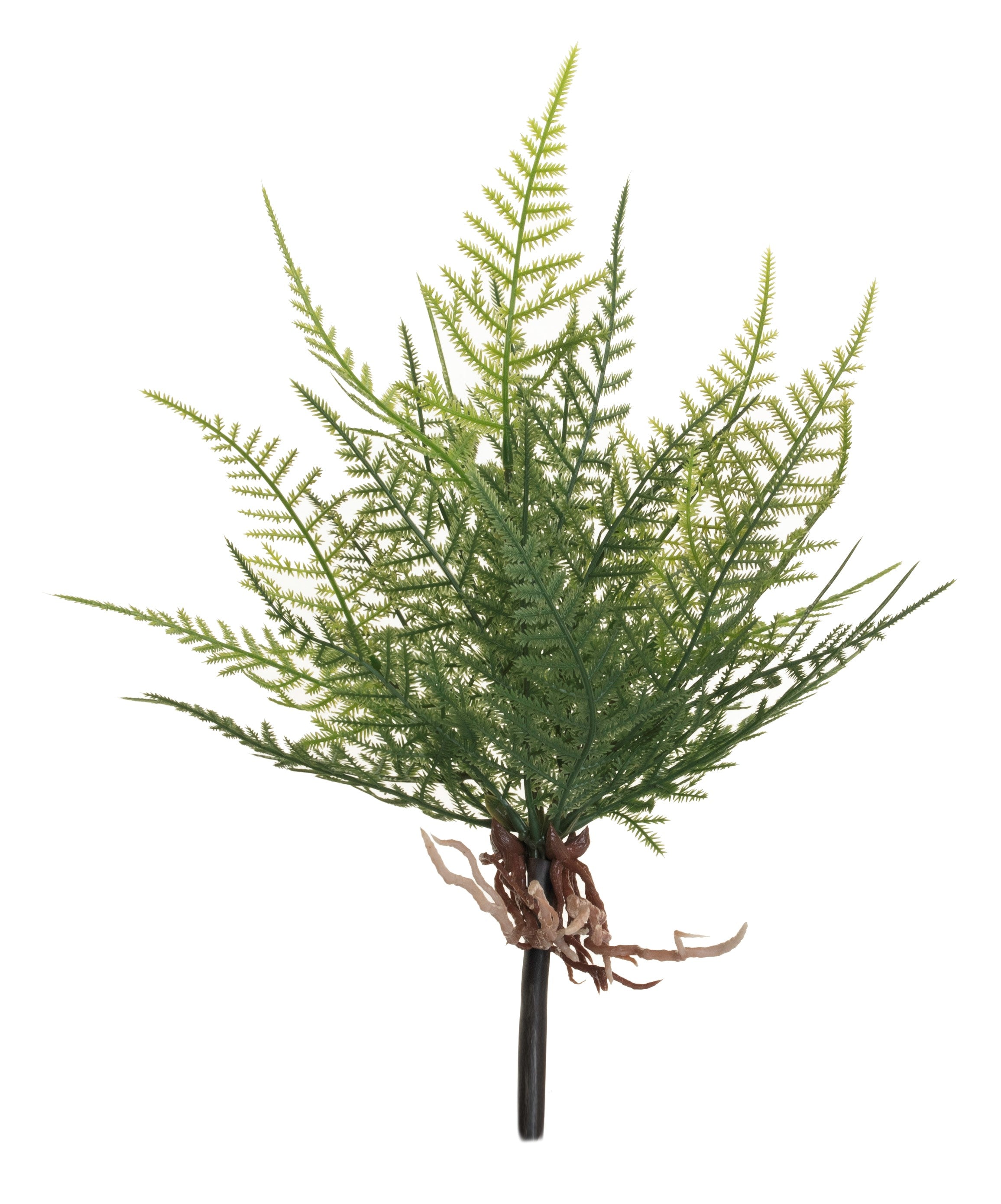 12" Bamboo Fern Stem FR1012