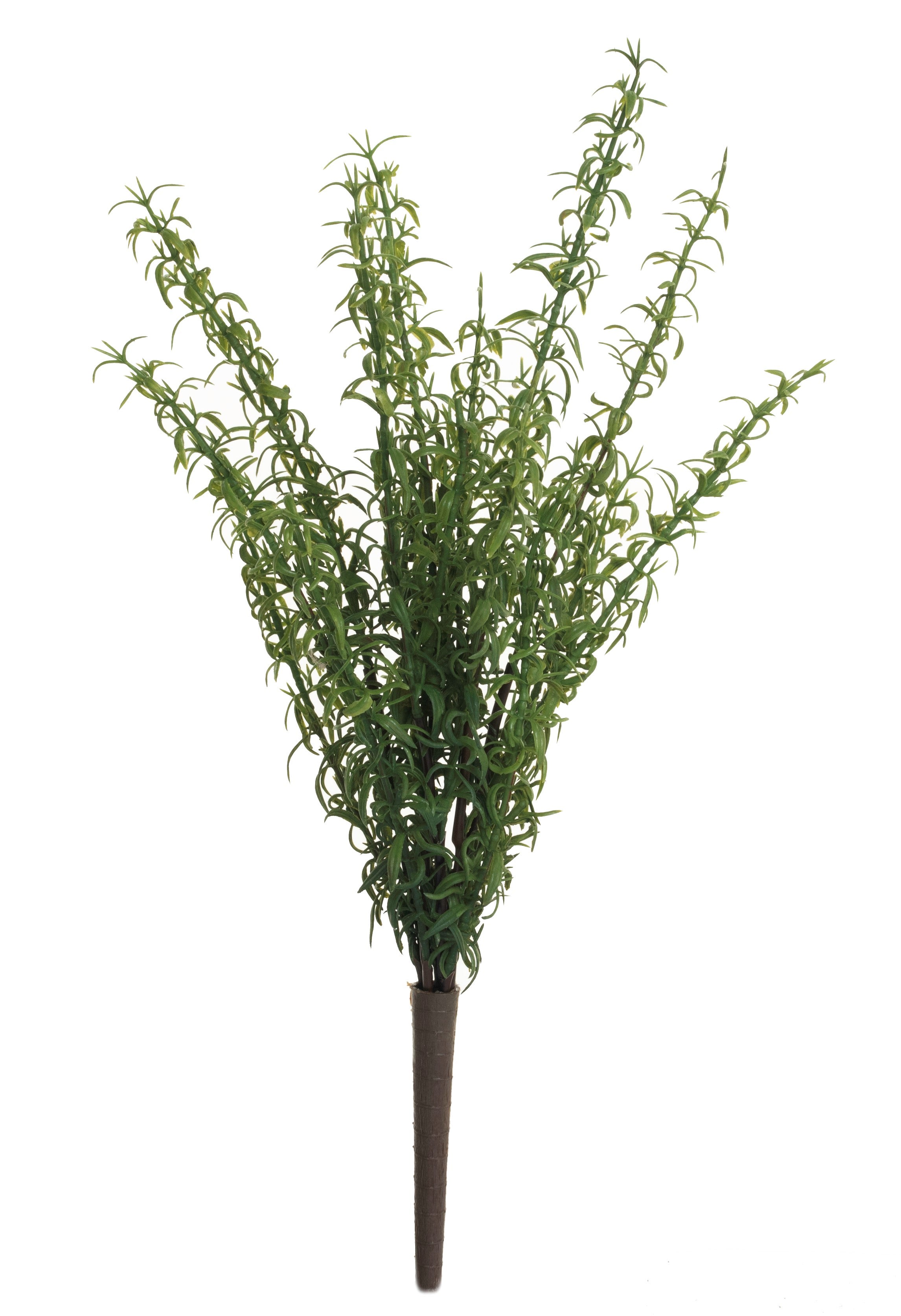 16" Rosemary Fern   FR1014