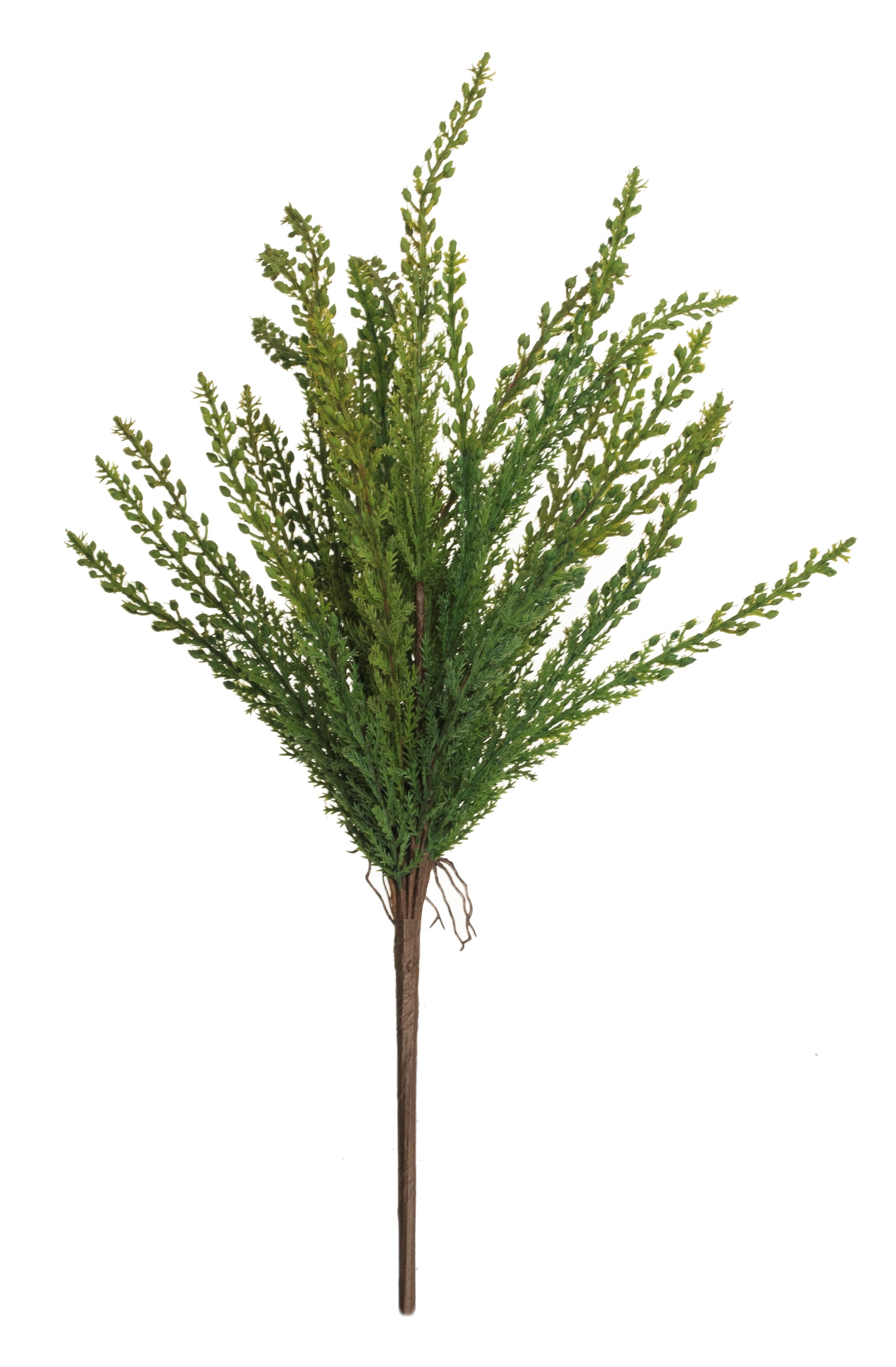 17" Asparagus Fern   FR1015