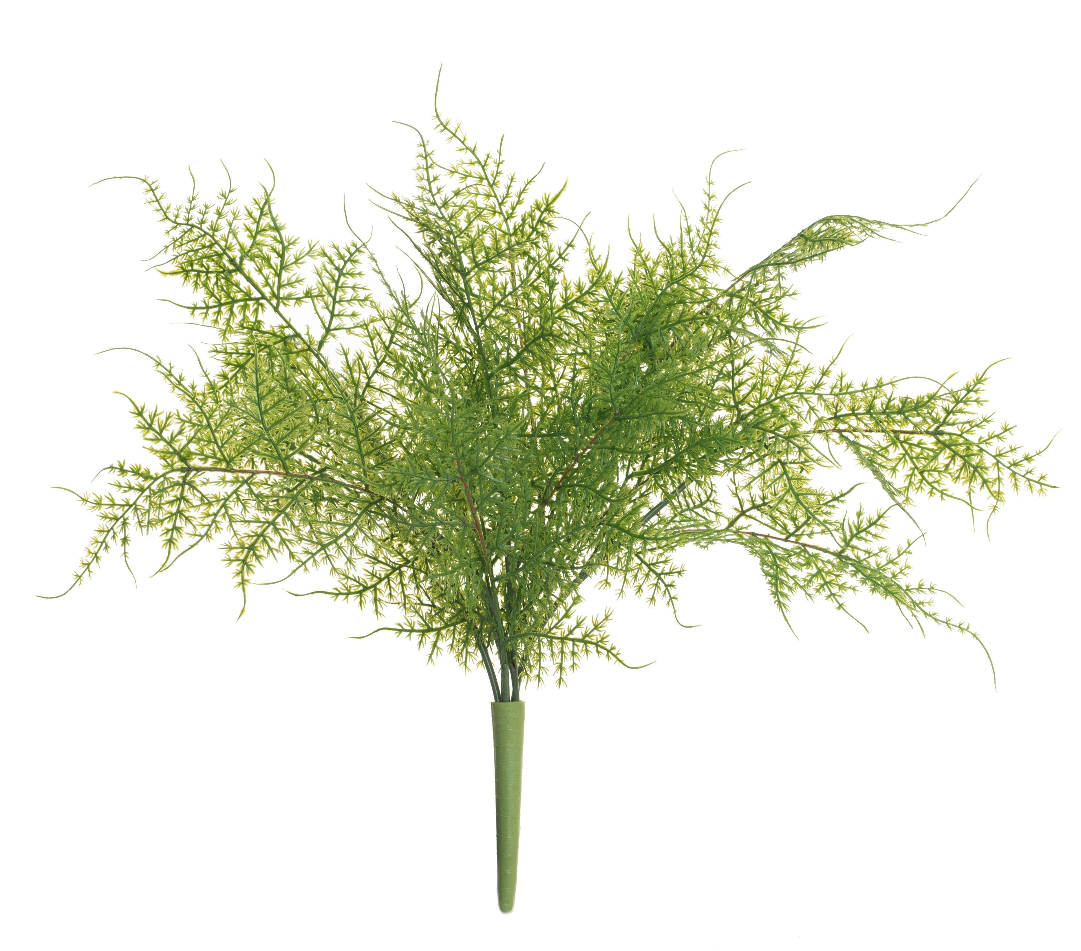 19" Fern Grass    FR1016