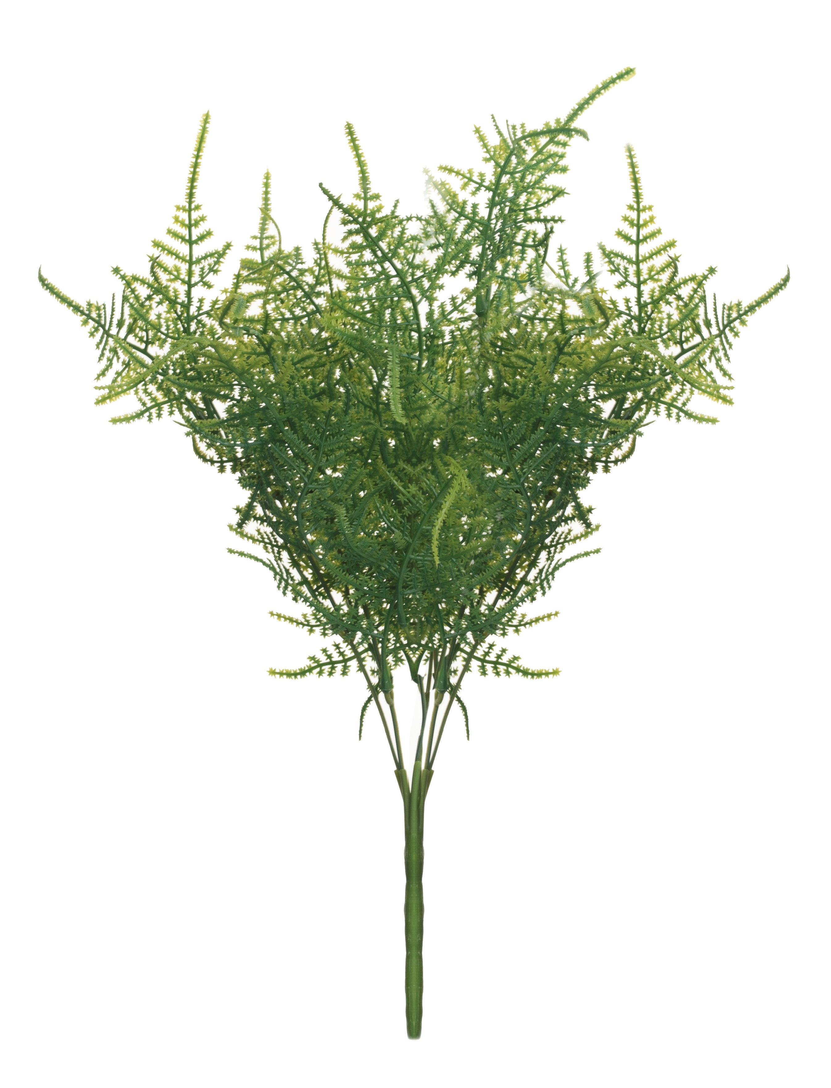 14" Fern   FR1017