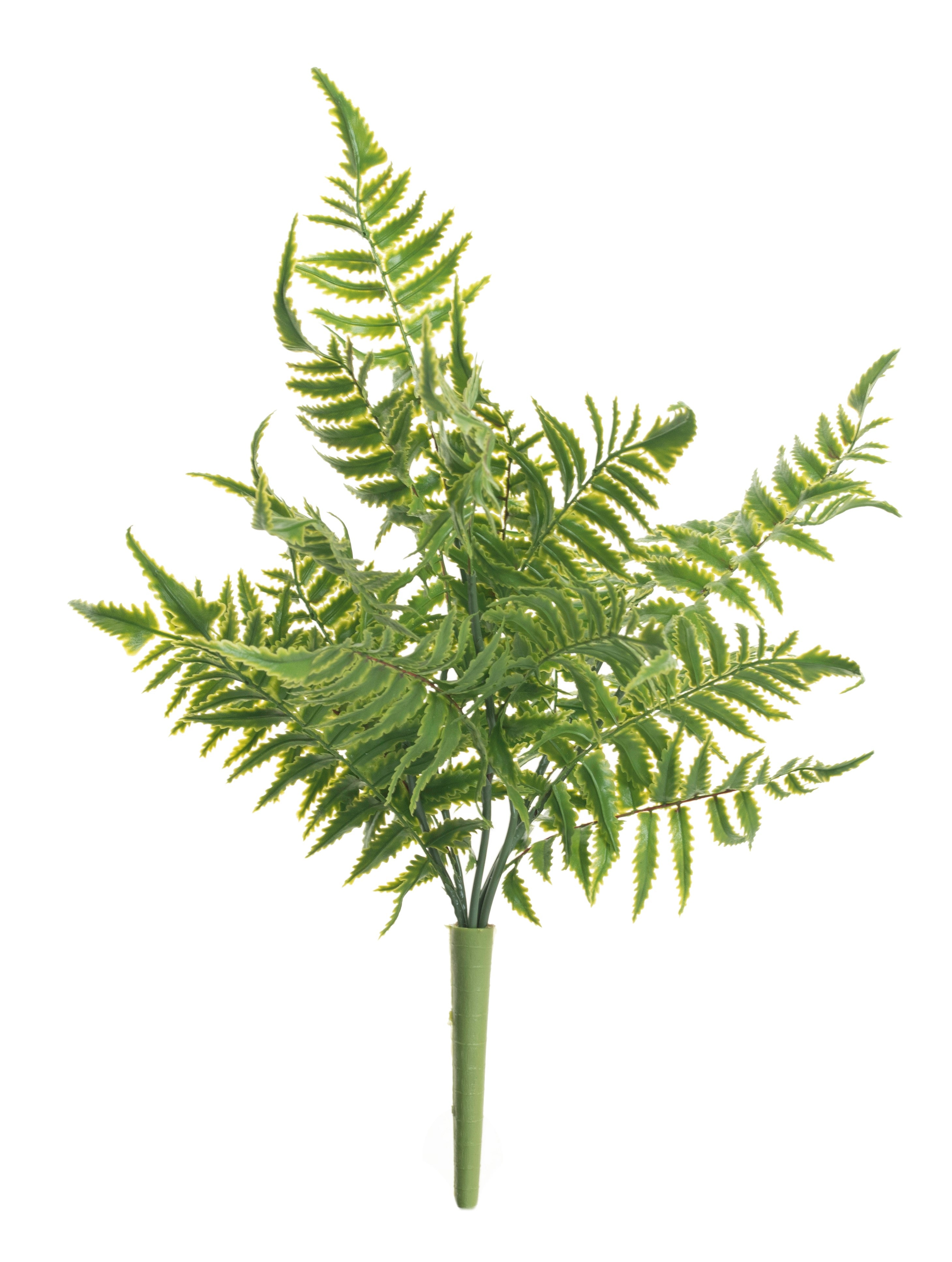 18" Boston Fern   FR1018