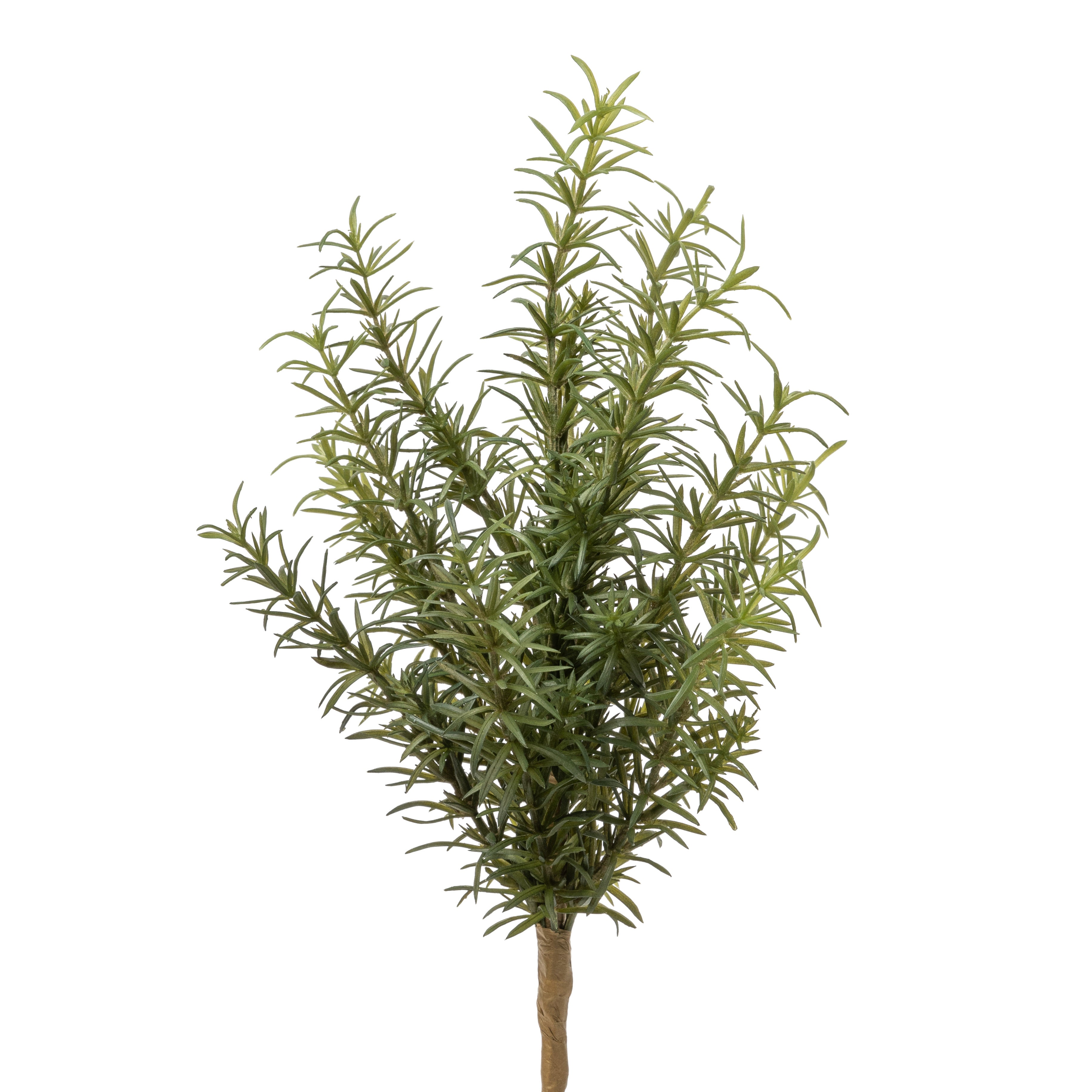 13" Rosemary Fern       FR1022