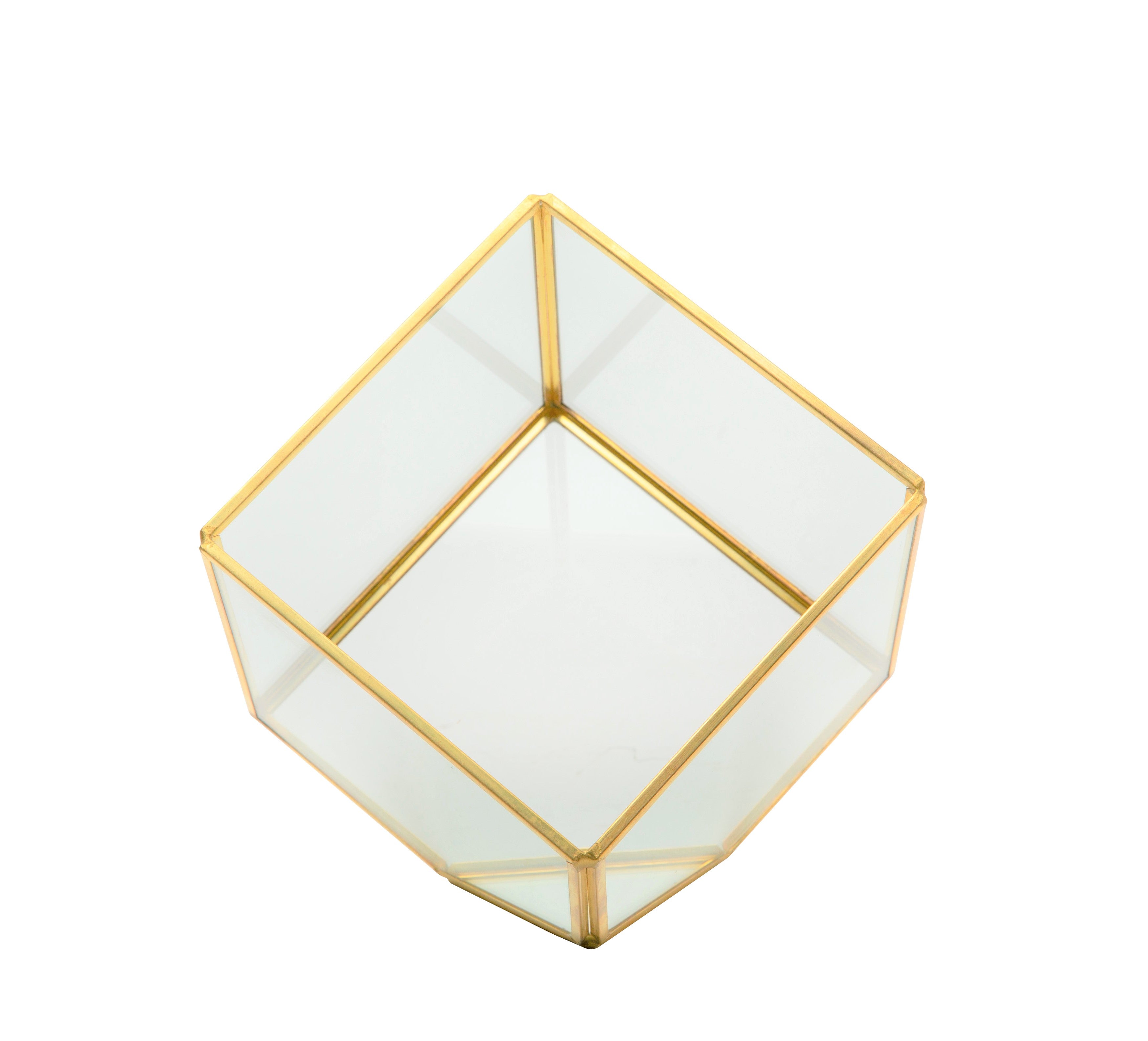 Berkley Terrarium Collection Gold Rimmed   GL1013