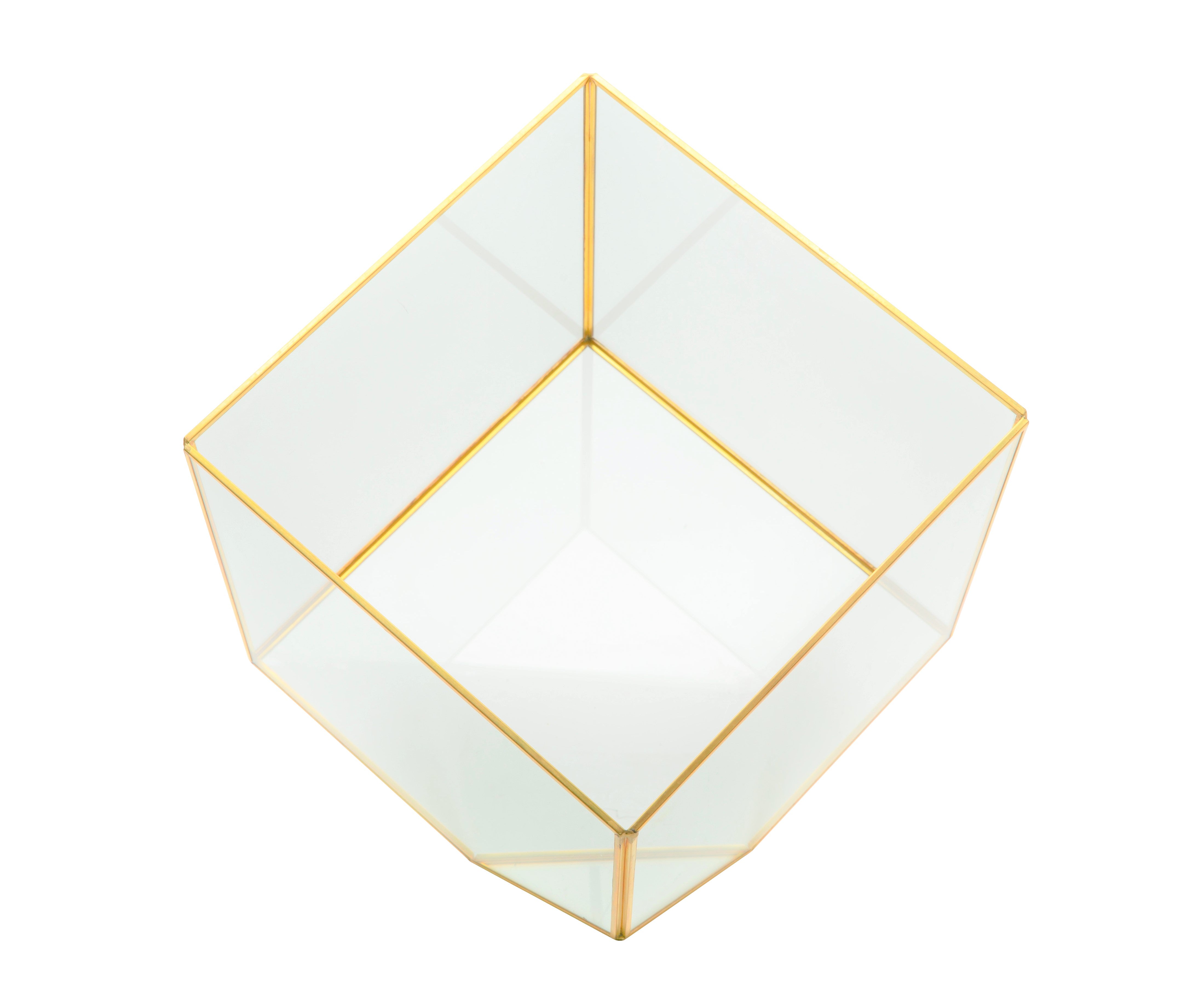 Berkley Terrarium Collection Gold Rimmed   GL1013