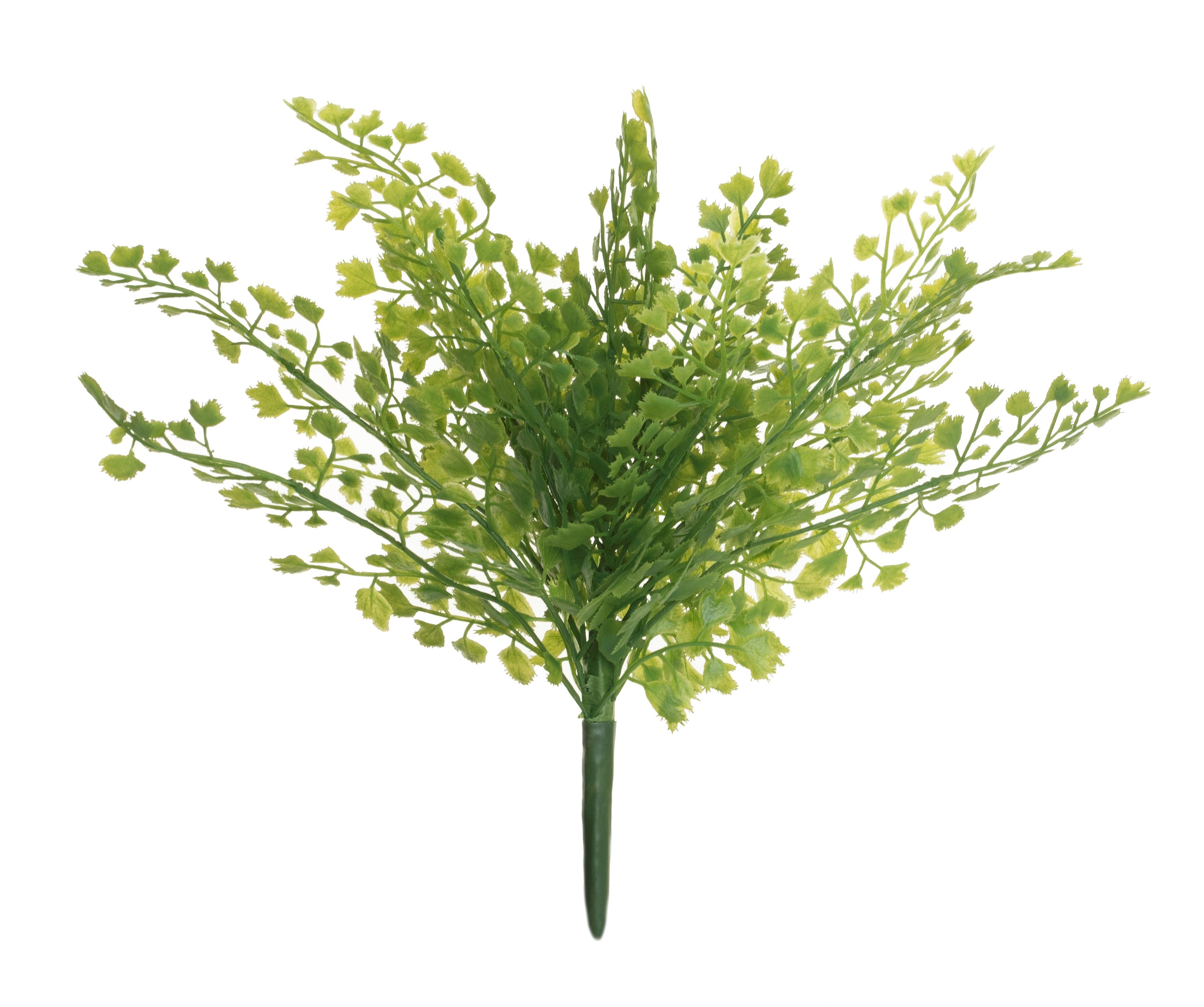 12" Parsley Stem    GS1010