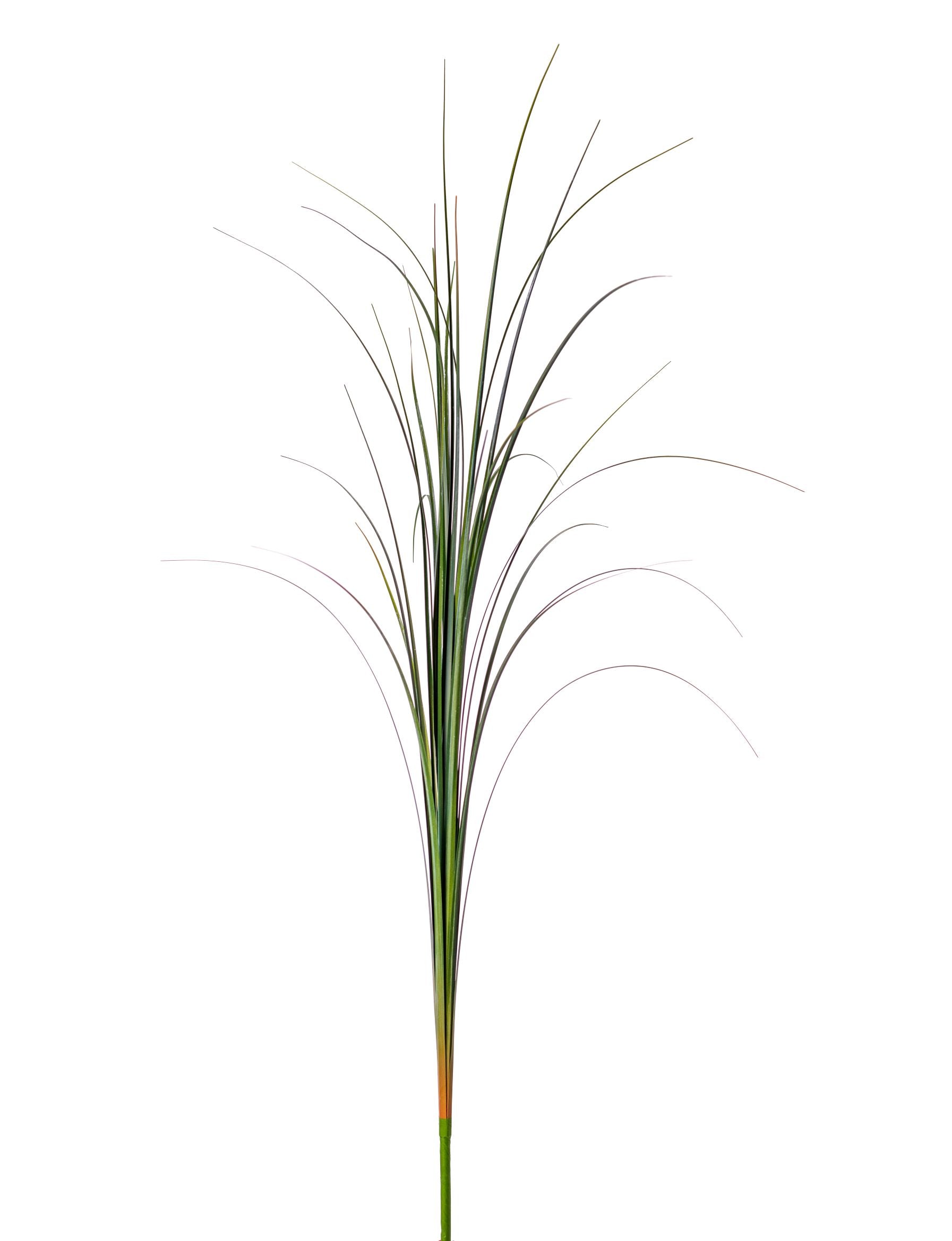 42" Grass Stem    GS1017