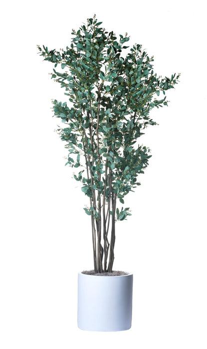 8’ Eucalyptus Tree in 19” White Zander PC1113WHZA
