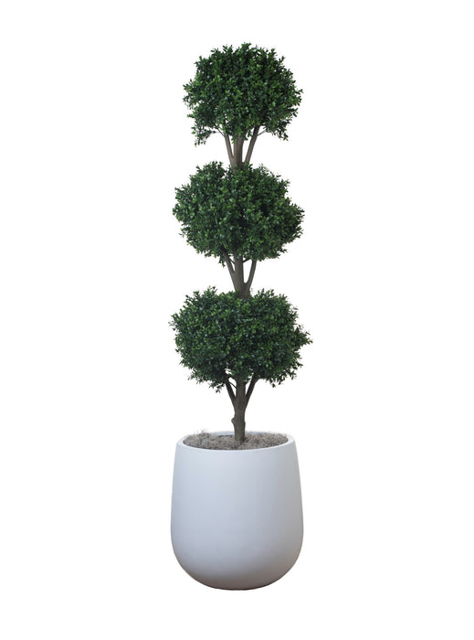 5’ Triple Ball Topiary in 19.5” White Abby Planter PC1120WHAB