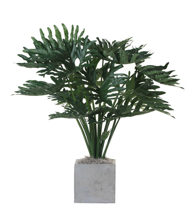 3’ Philodendron in 10” Balboa Planter PC1142CTBA