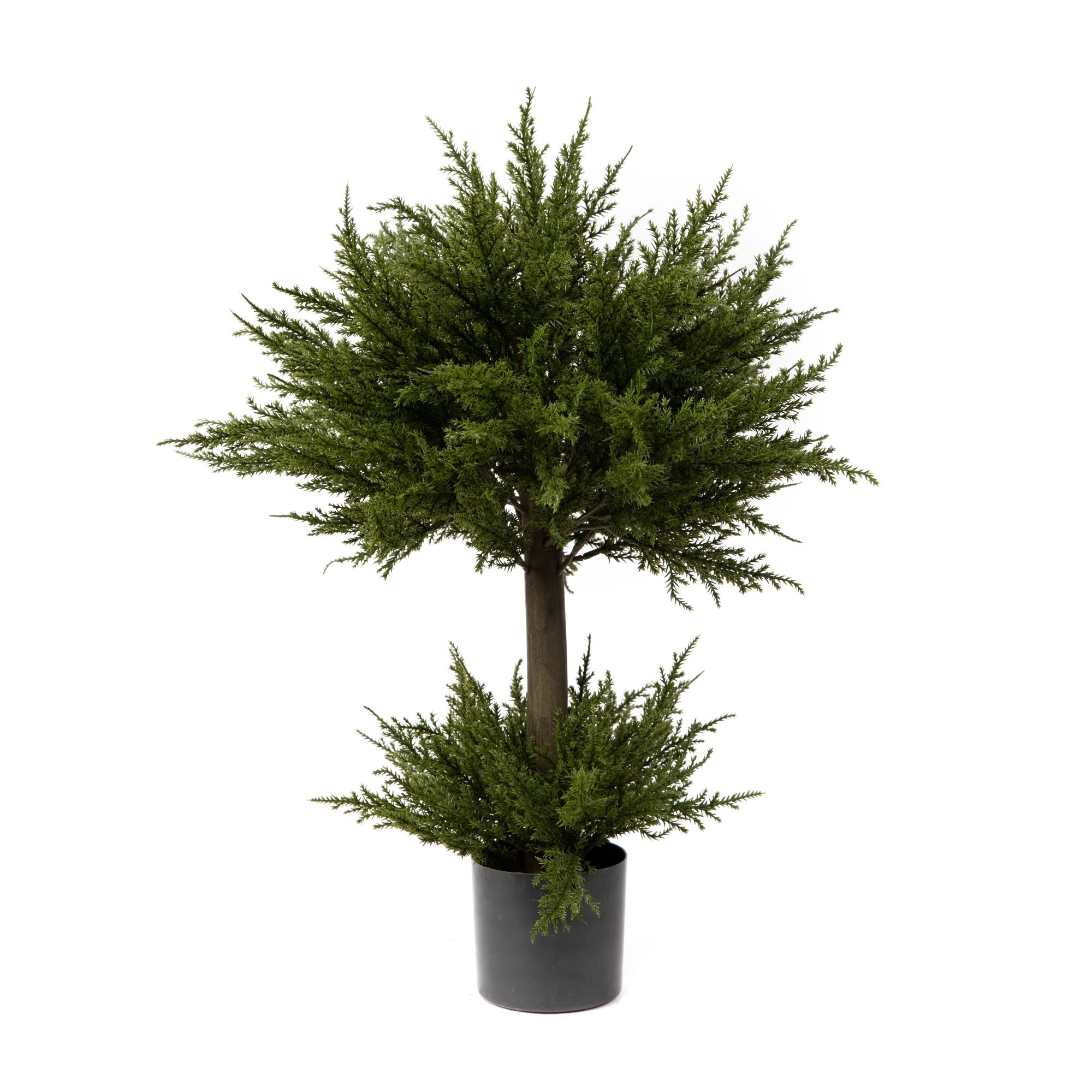 2' Cypress Topiary PP1011