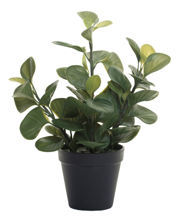 12" Green Lily Leaf Plant   PP1015