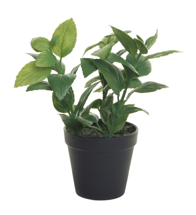 10" Mint Leaf- Green   PP1017