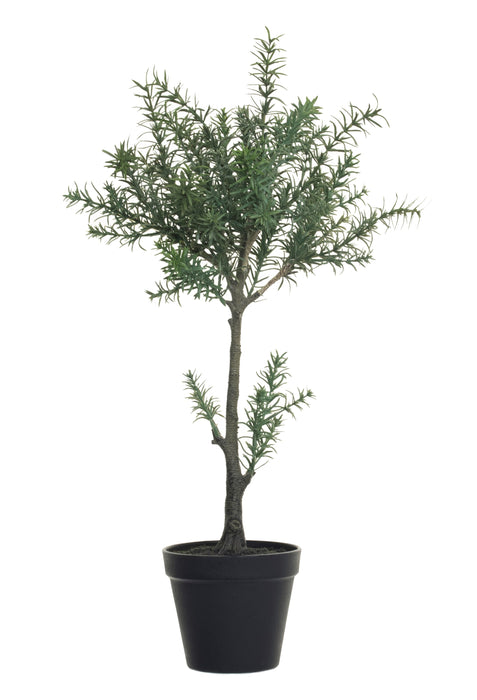 21" Potted Rosemary   PP1019
