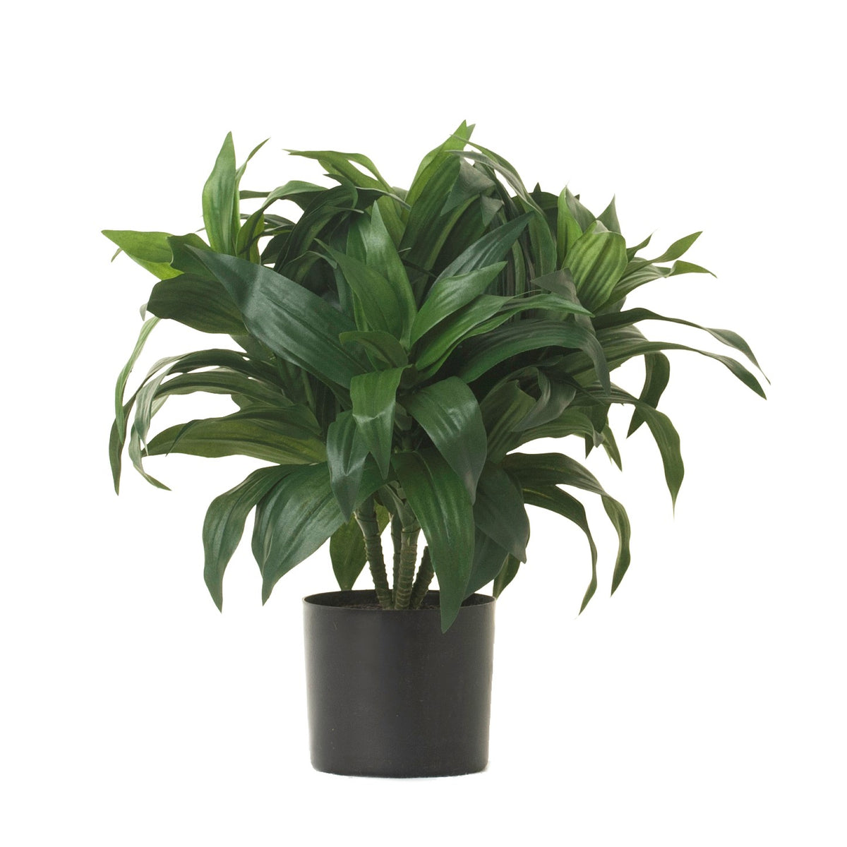 dracaena art bush 14" Potted Dracaena Bush PP1025