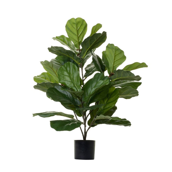 24" Fiddle Leaf Fig Tree  PP1030