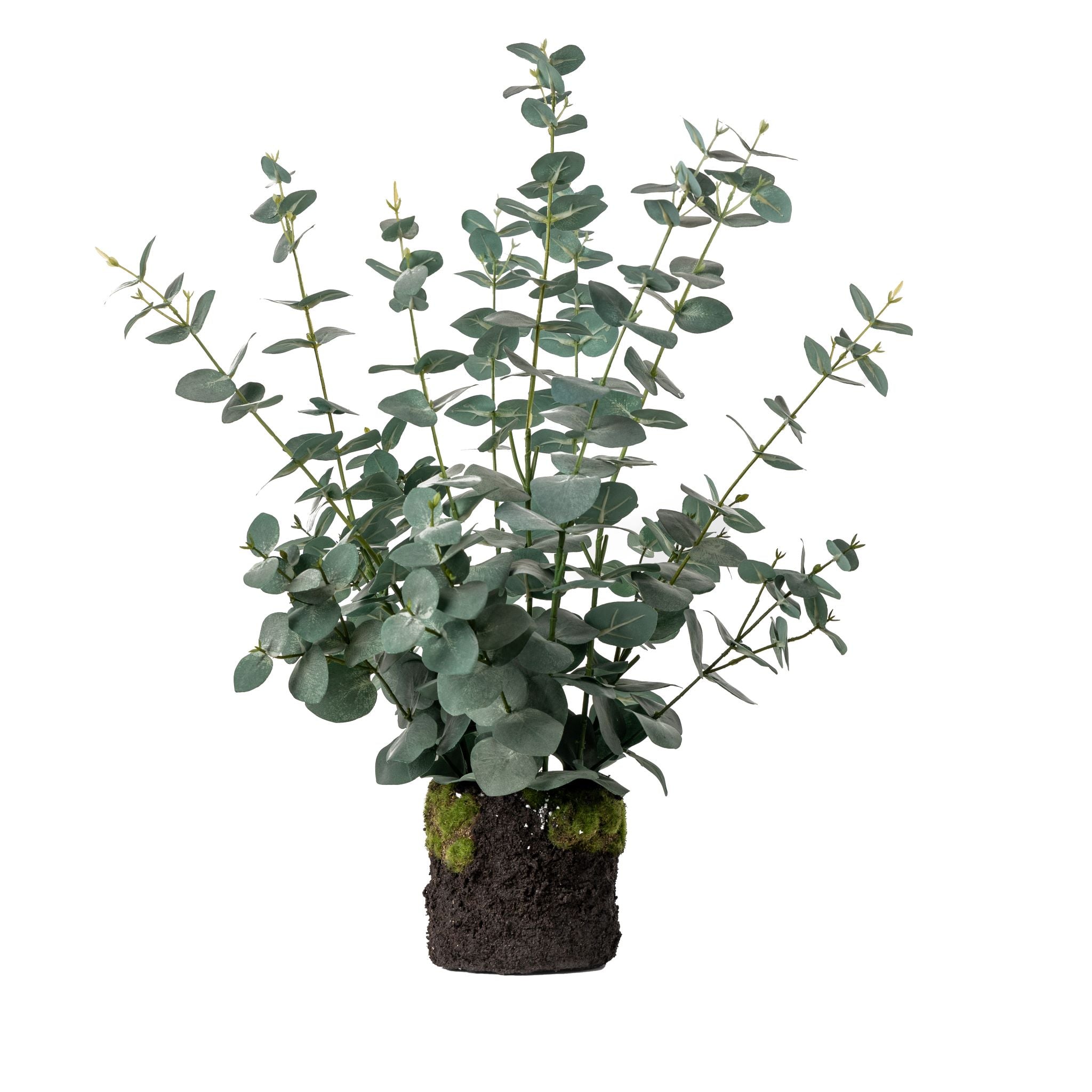 25" Drop In Eucalyptus Plant    PP1034