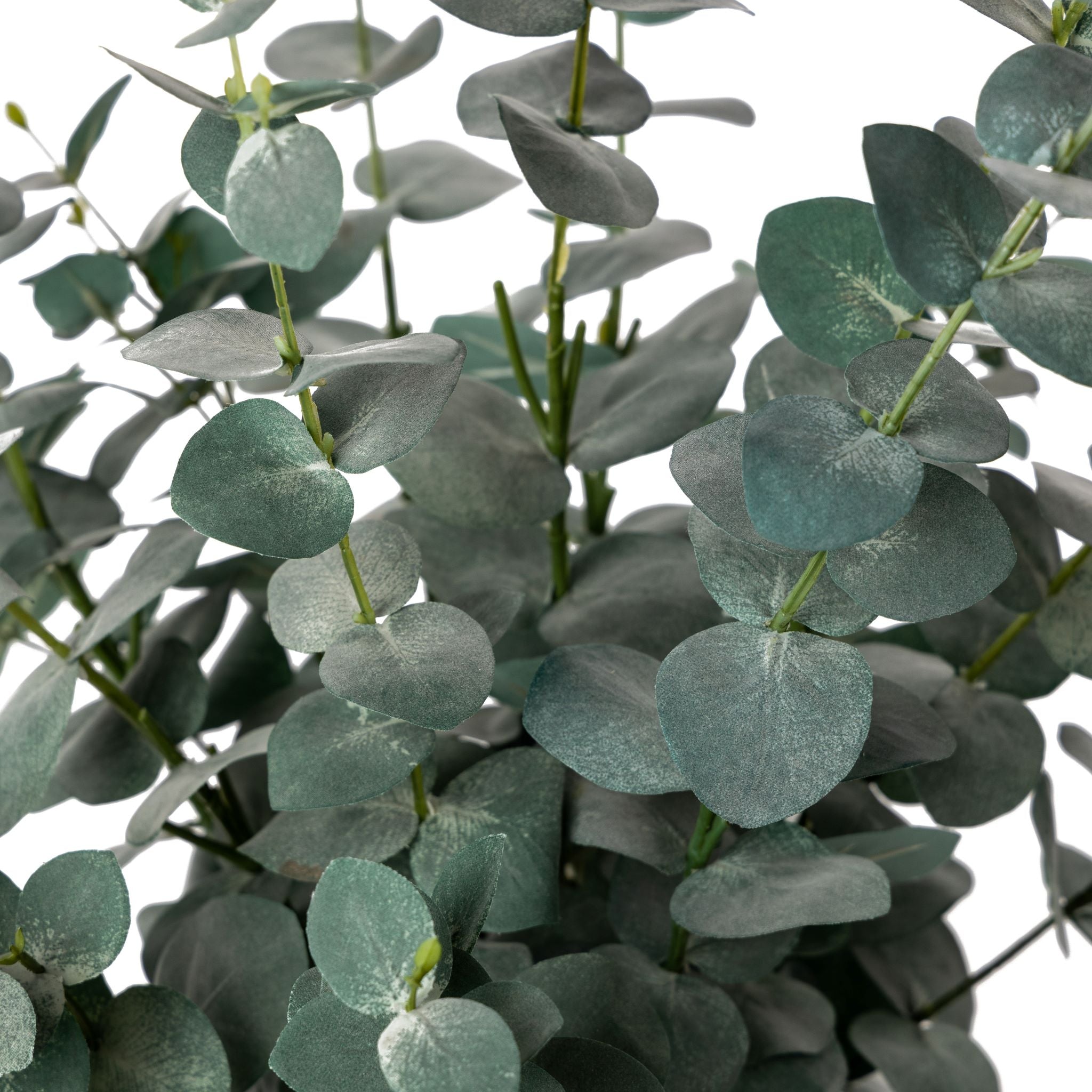 25" Drop In Eucalyptus Plant    PP1034