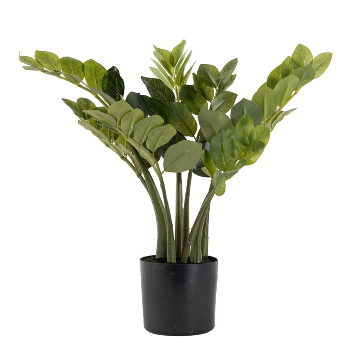18" Potted ZZ Plant   PP1043