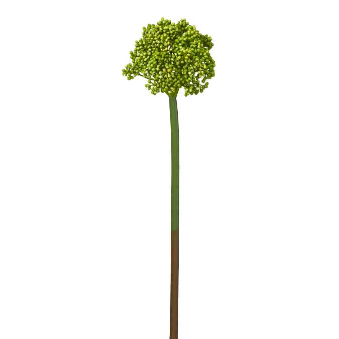 19" Green Hydrangea Seed Stem ST1002