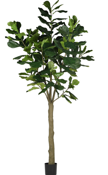 9' Fiddle Leaf Fig Tree    FP1087