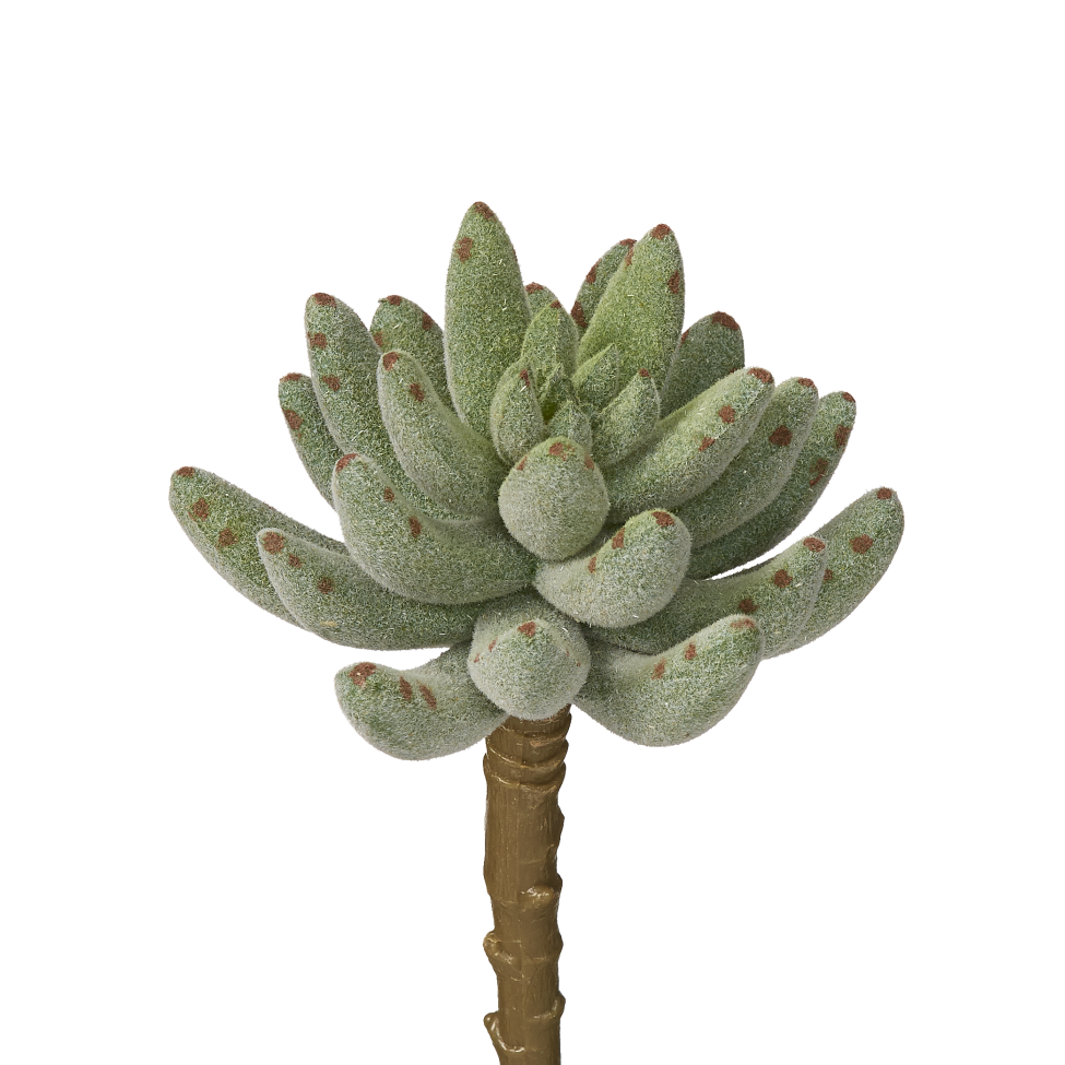 5" Flocked Succulent Stem   SF1004