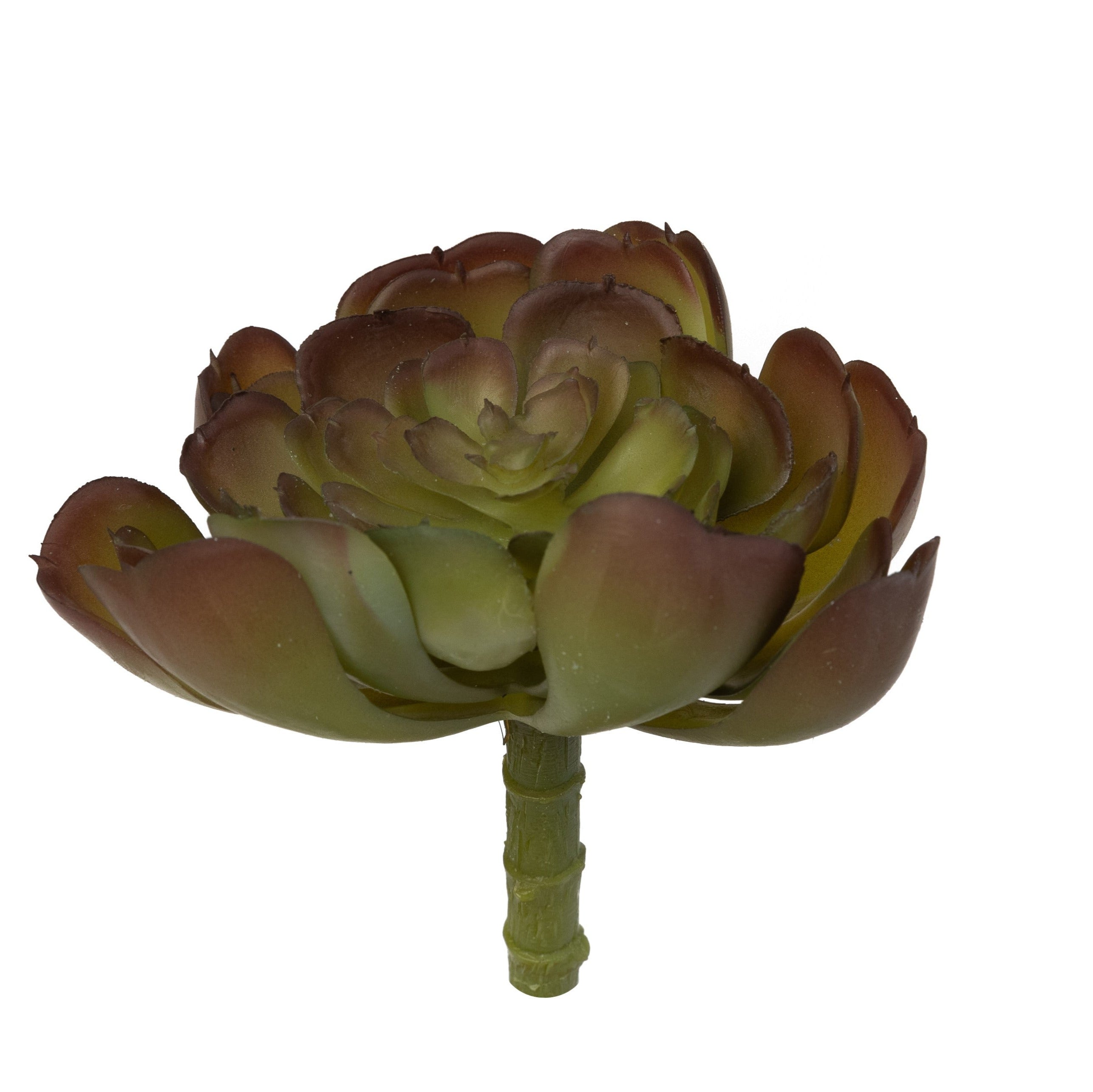 7" Echeveria Succulent Pick    SF1083