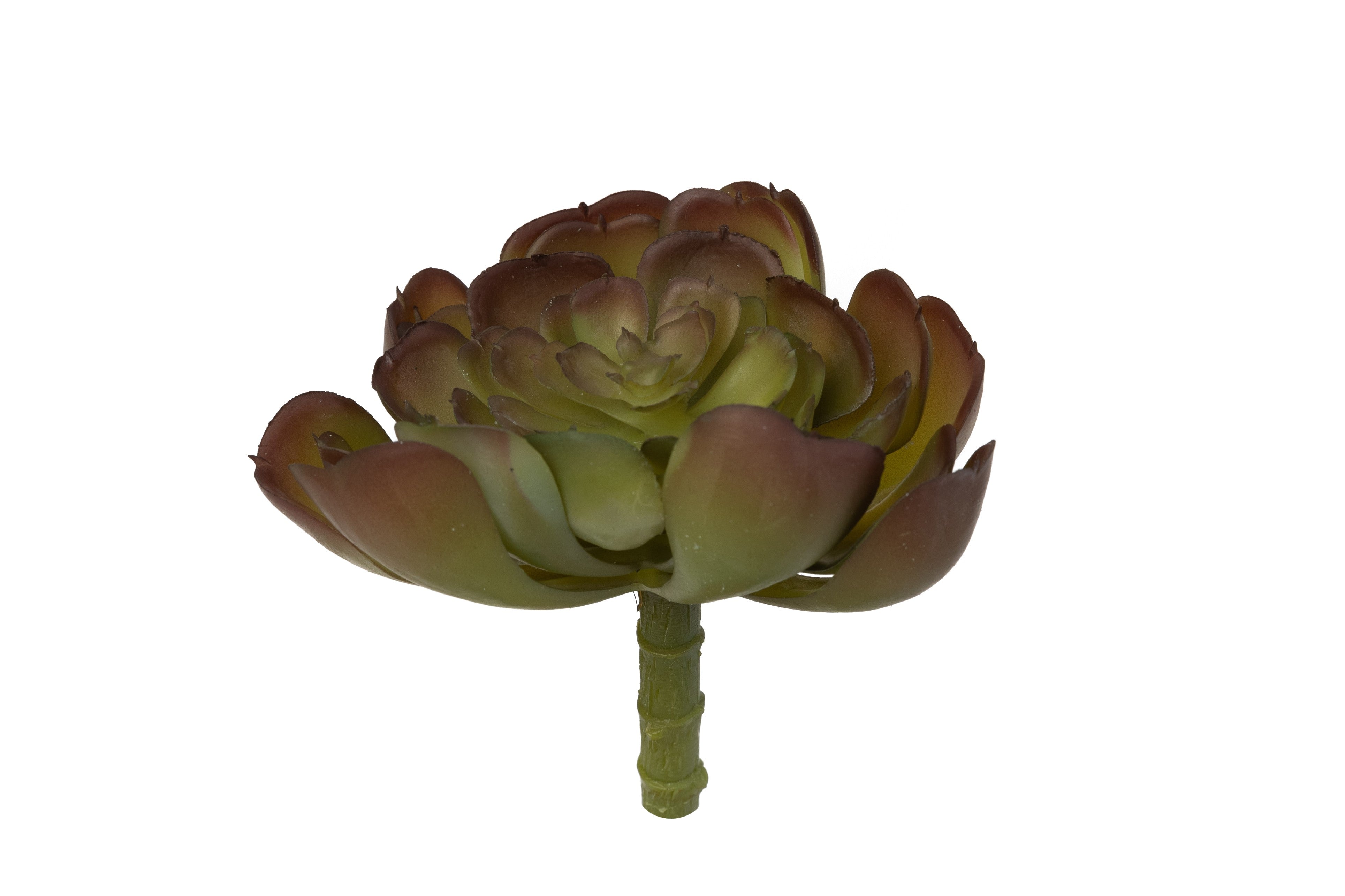 7" Echeveria Succulent Pick    SF1083