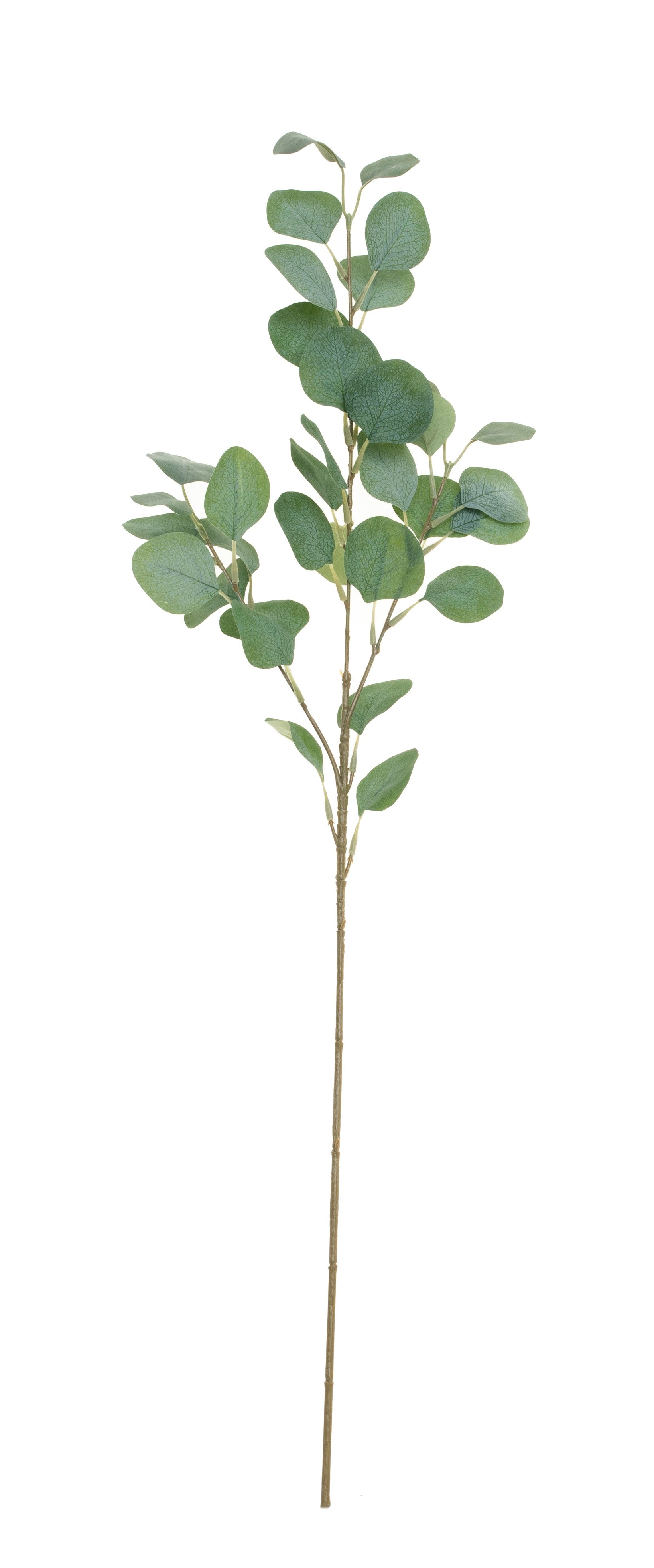 31" Eucalyptus Stem Gray/Green   ST1048