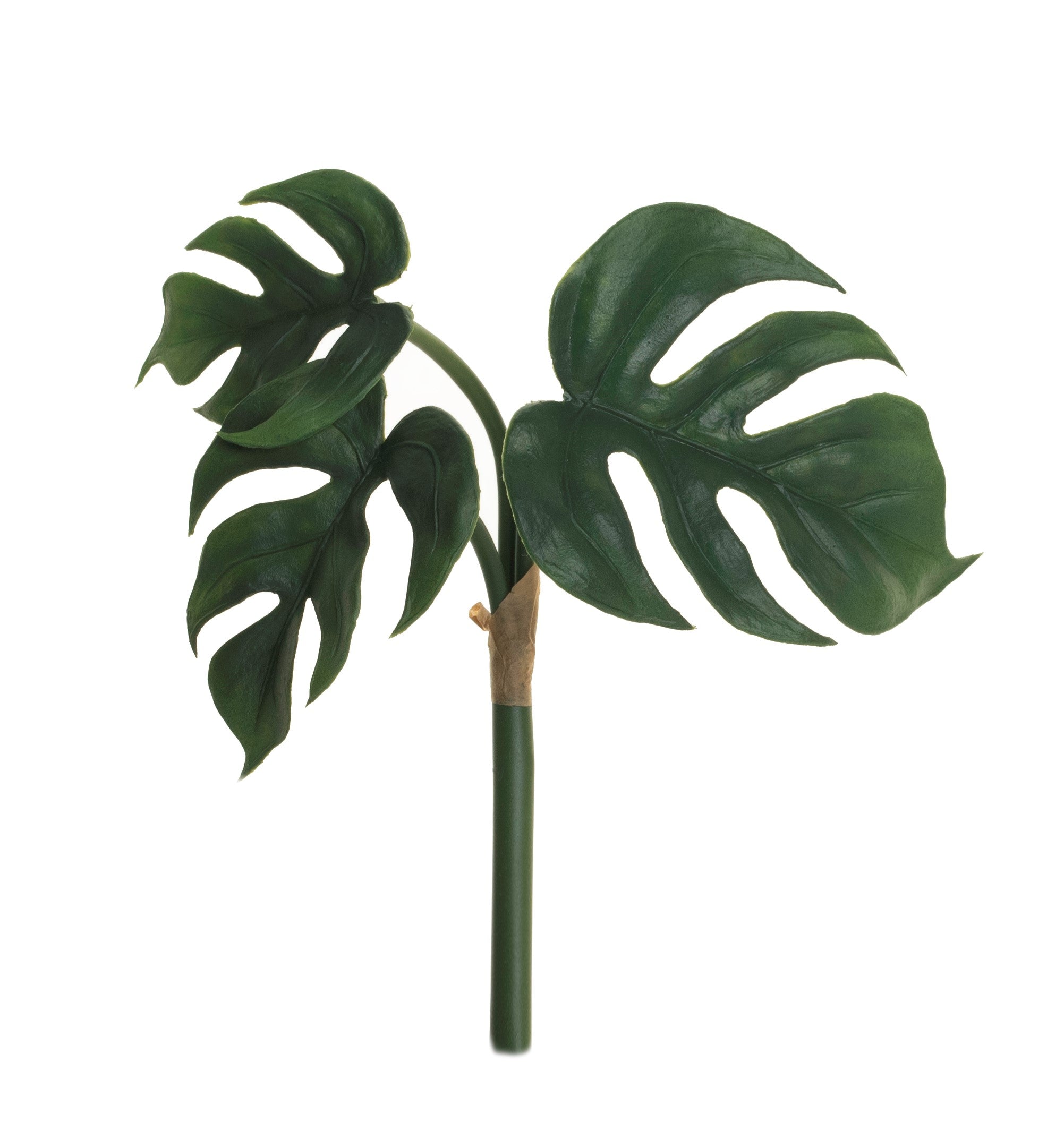 8" Split Leaf Philodendron Bush  ST1061