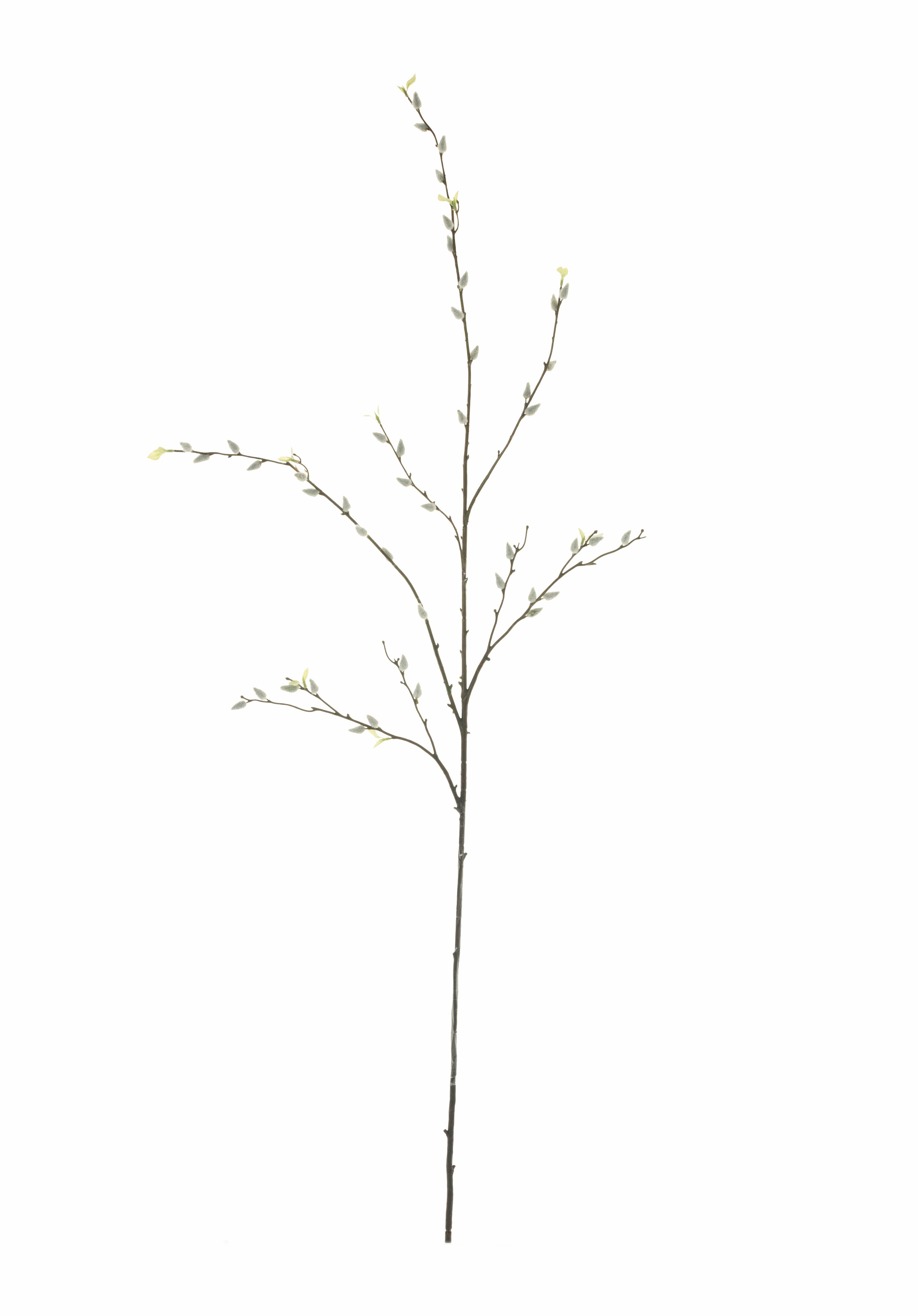 52" Pussy Willow - White      ST1089