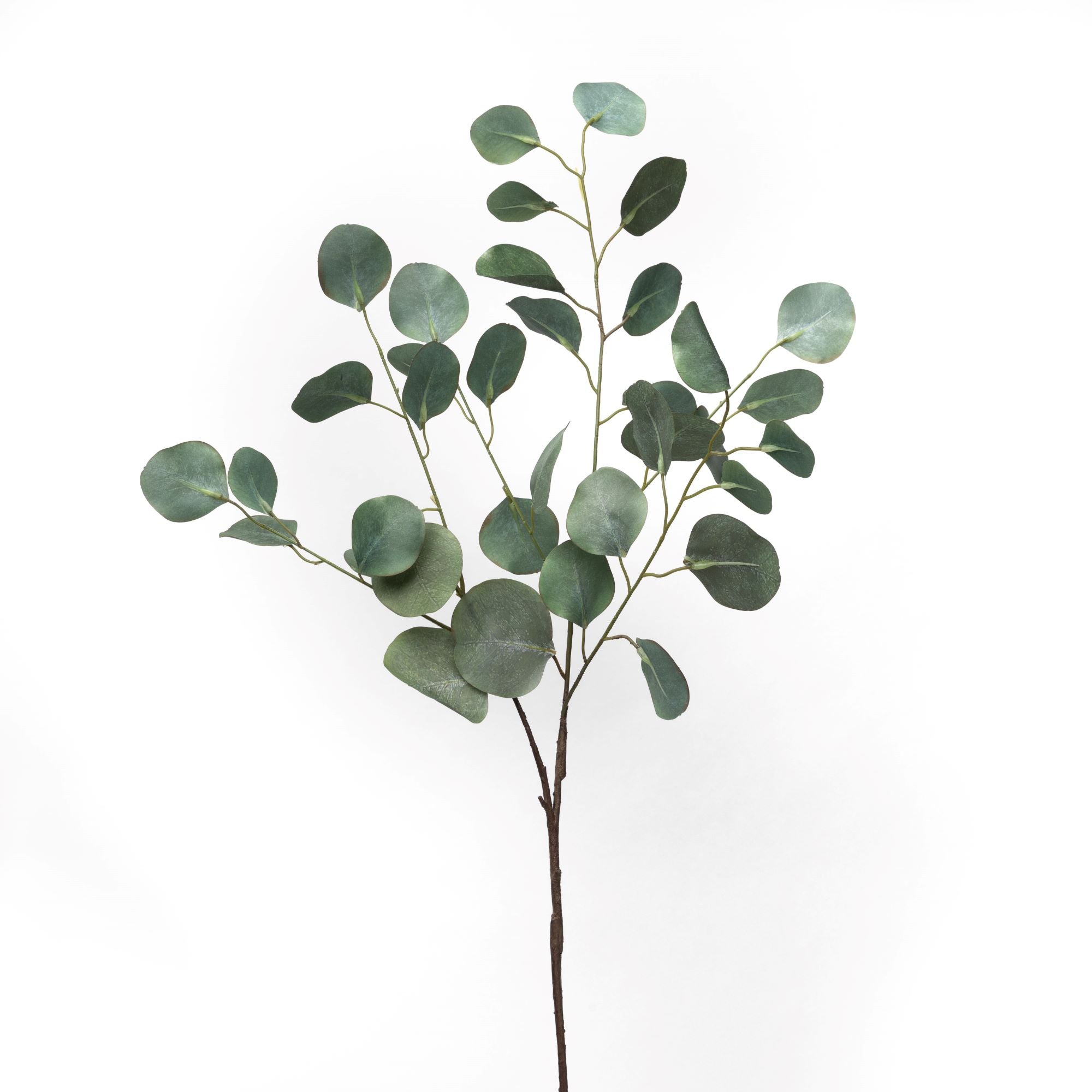 36" Eucalyptus Stem   ST1092