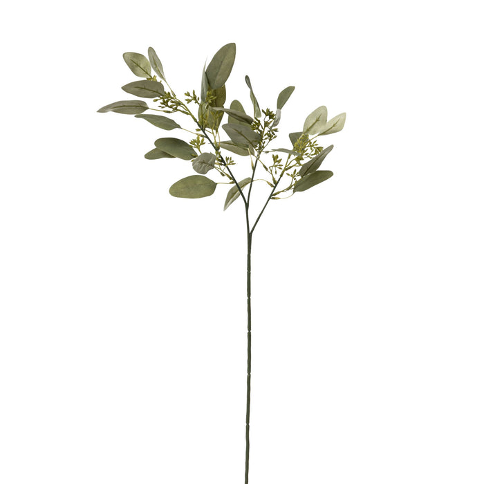 25" Eucalyptus Stem with Seeds    ST1114
