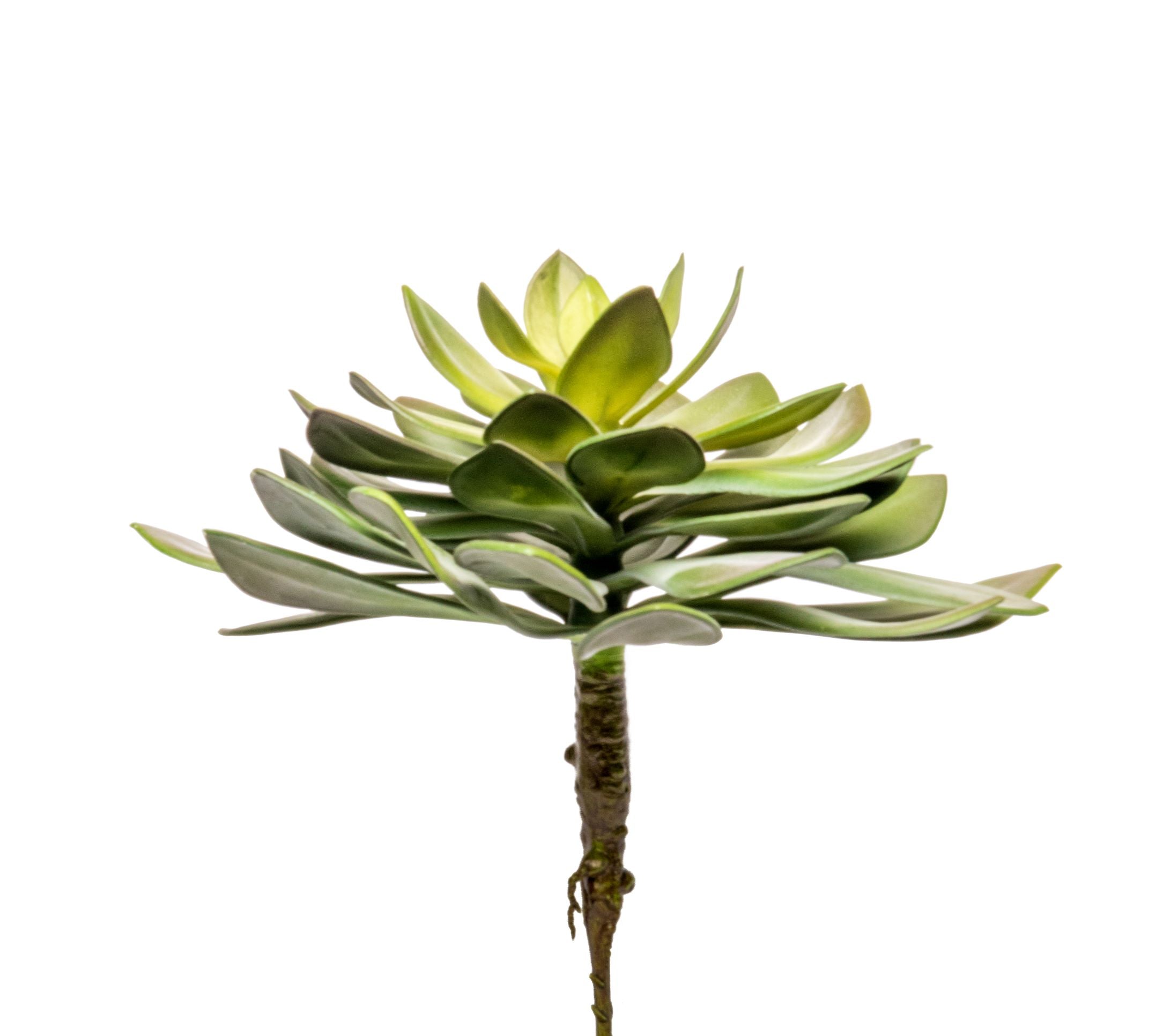 17” Succulent Stem   SU1061