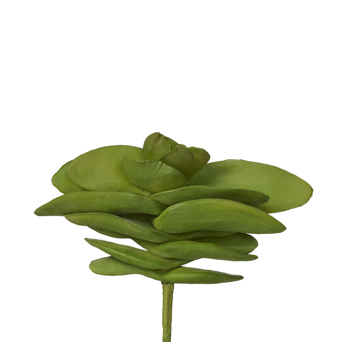 7" Succulent Pick    SU1001