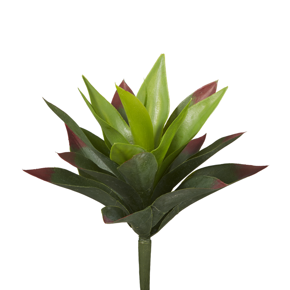 9" Green Agave Stem   SU1004