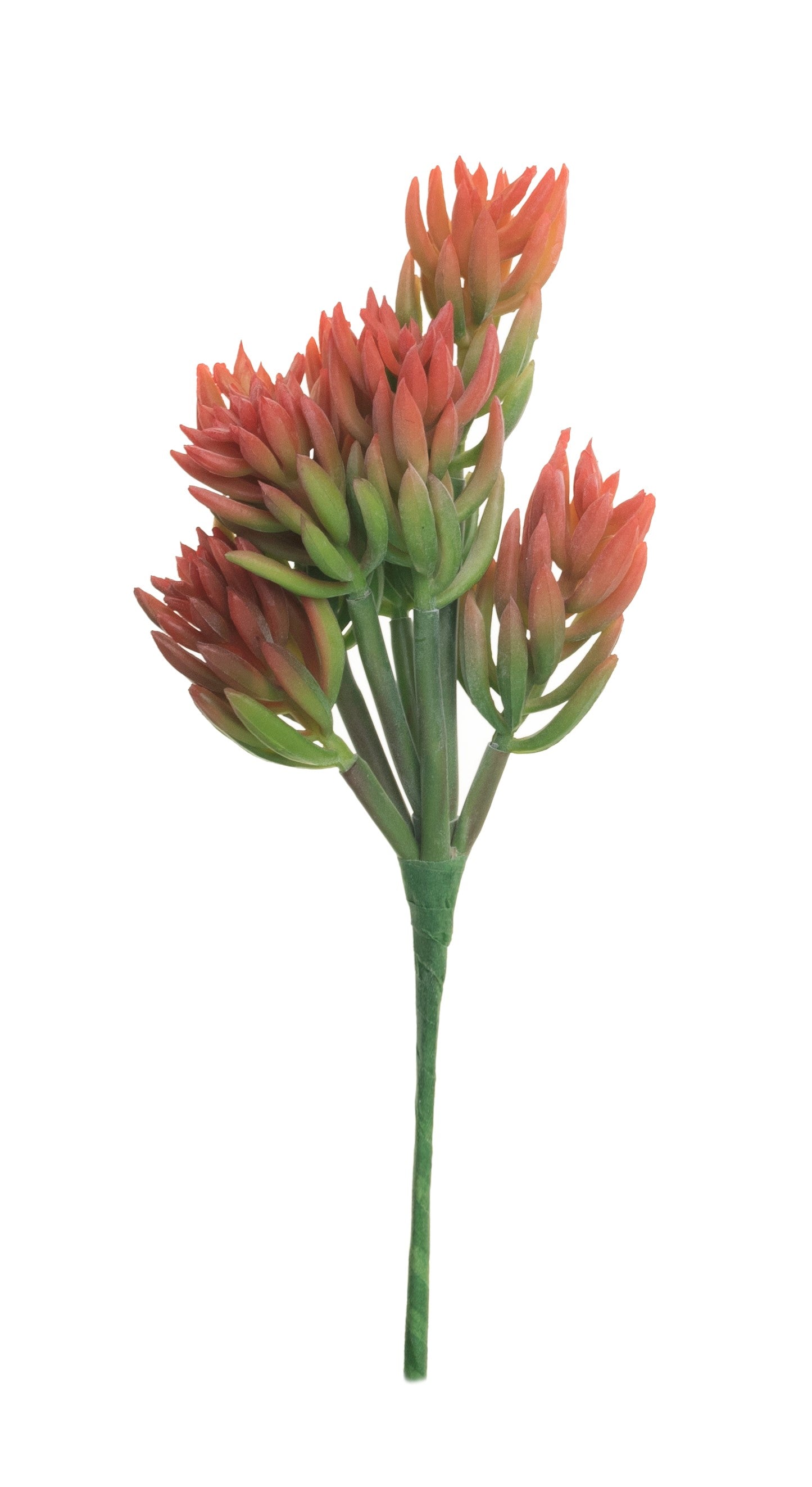 11" Multi Head Succulent Stem-Coral  SU1041