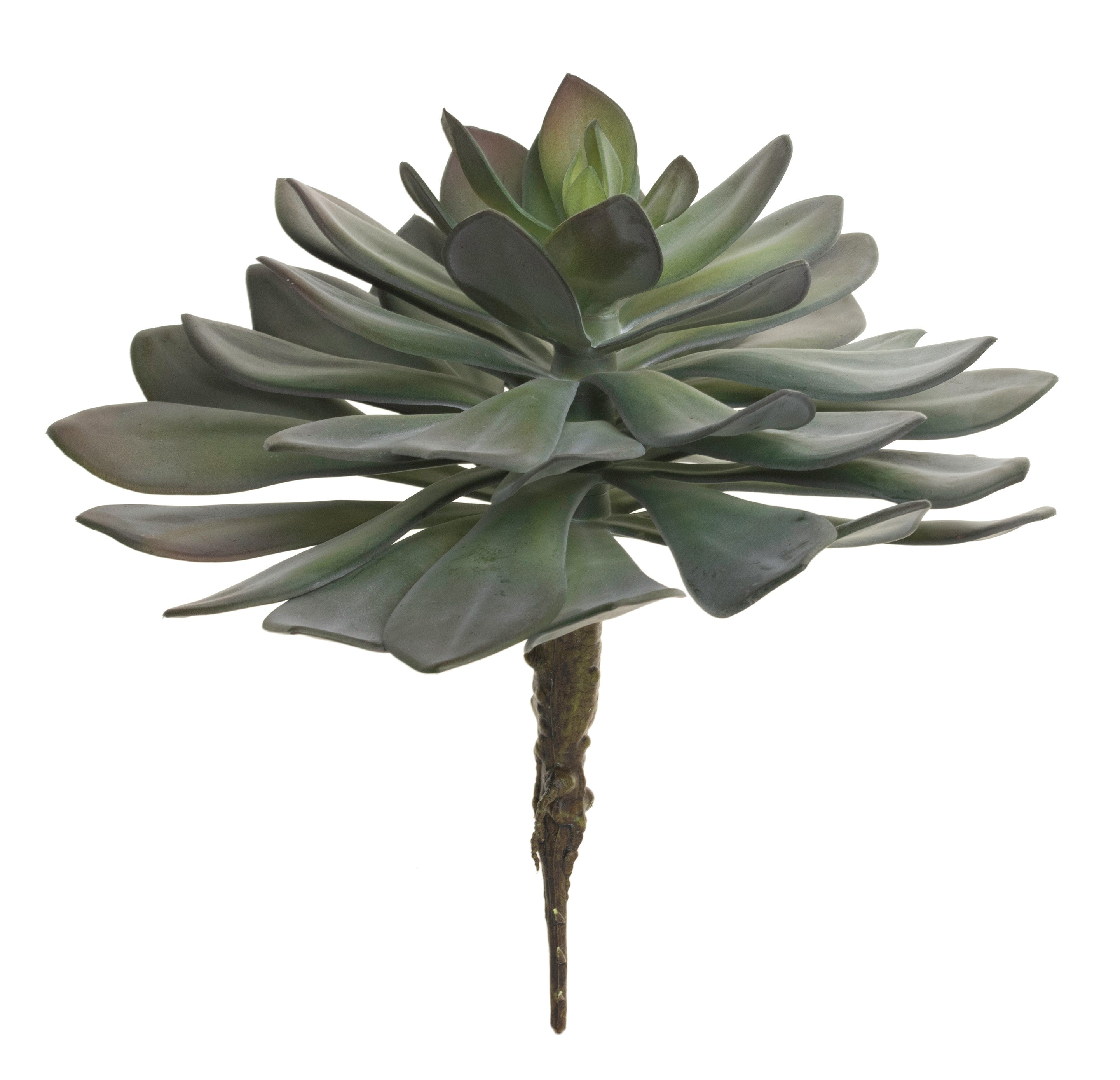 12" Succulent Stem- Purple/Green   SU1047