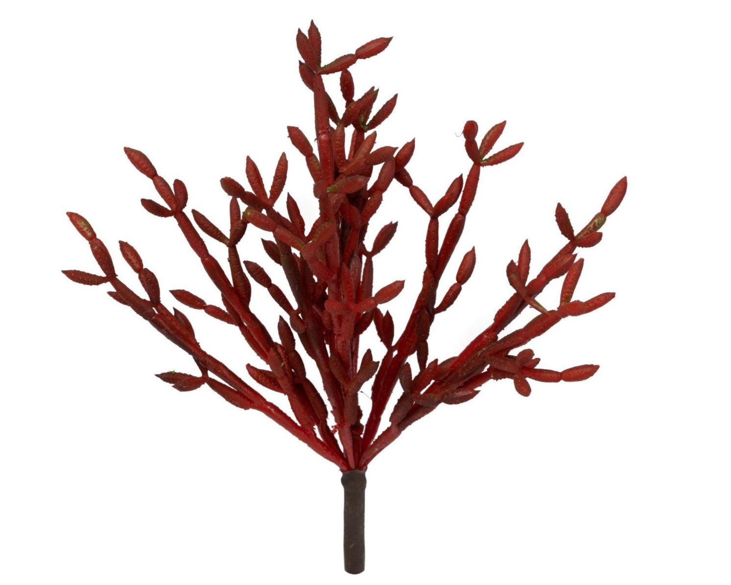 10" Coral Succulent Stem-Red  SU1054