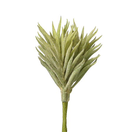 Succulents – Replica Plants and Decor