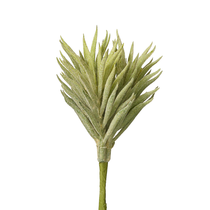5" Pine Needle Succulent Pick SU1022