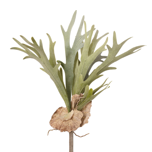 22" Flocked Staghorn Fern  ST1005