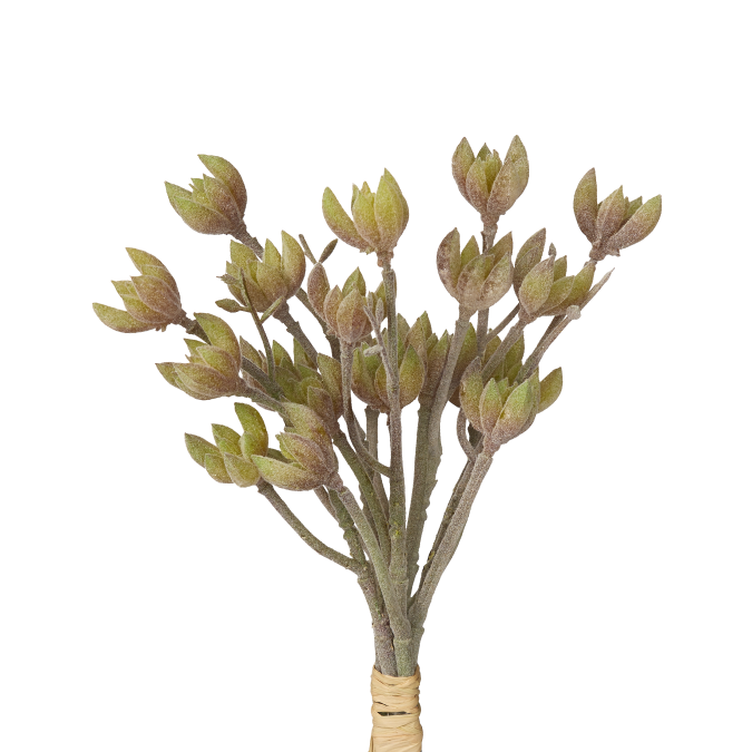 9" Flocked Succulent SU1019