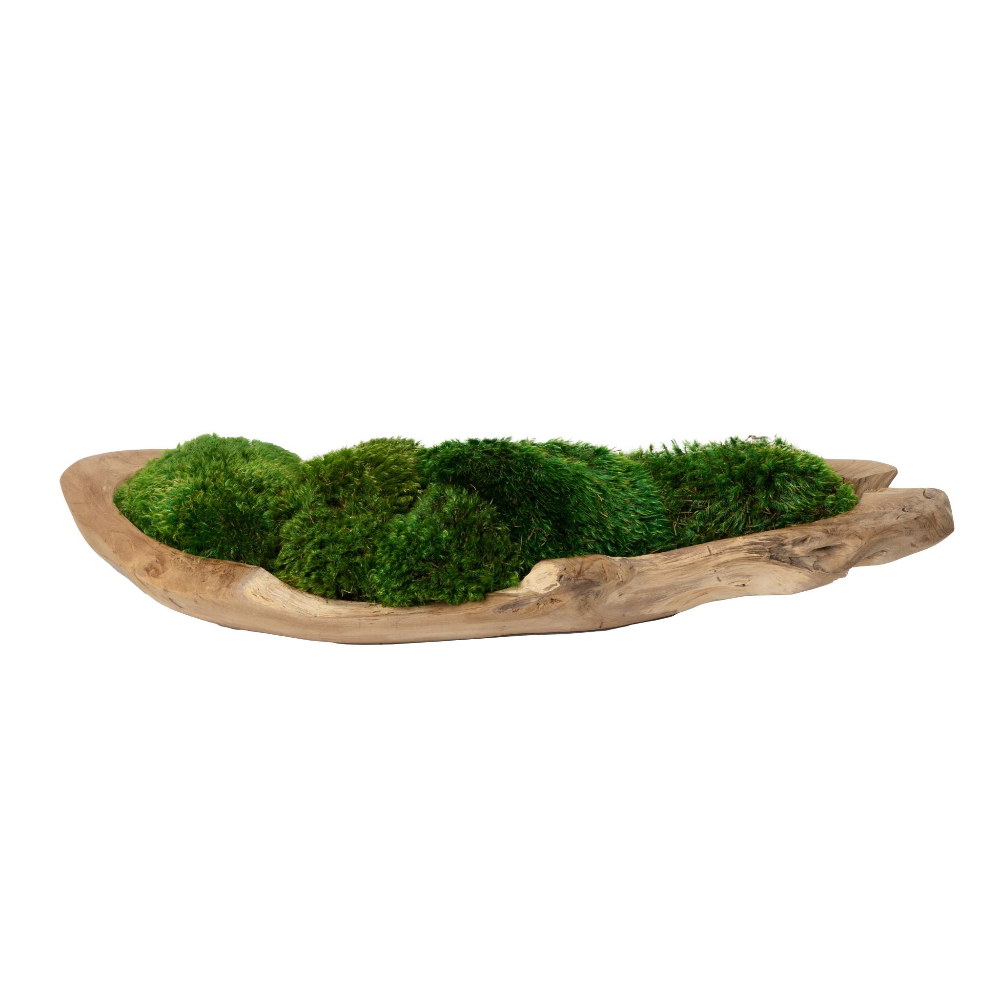 36" Kapal Wood Trough with Mood Moss Arrangement   AR1676