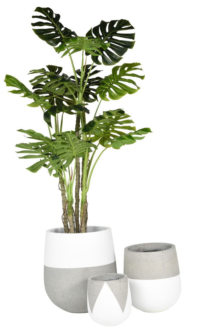 Emma Planters-White   CN1028