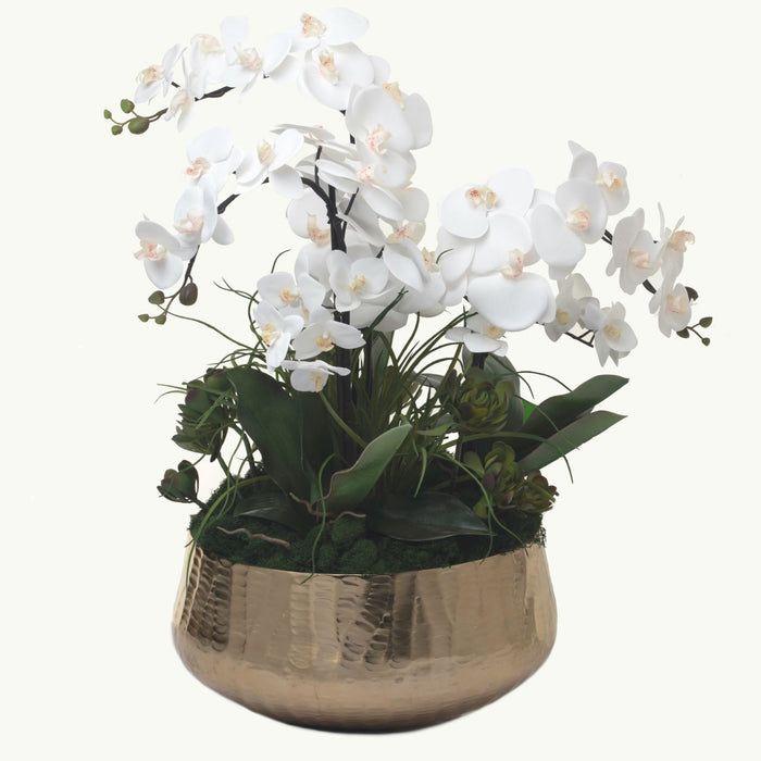 17" Roberi Bowl with Orchid Arrangement  AR1093